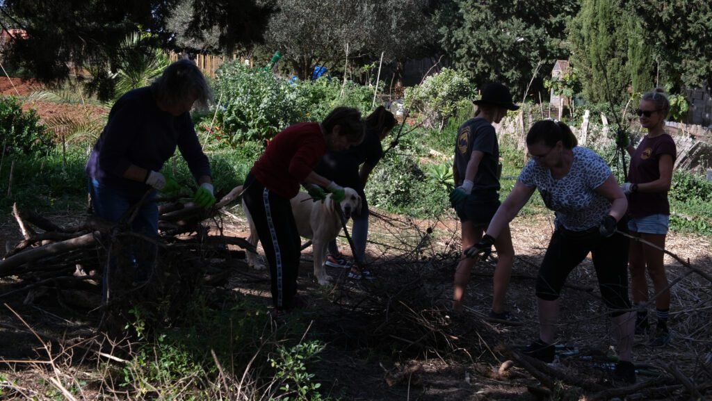 comunidad-amar-montaña-leña-naturaleza